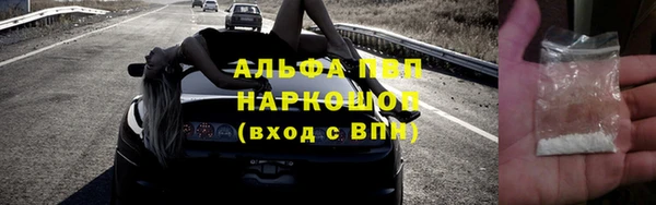 винт Алексин