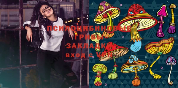 винт Алексин