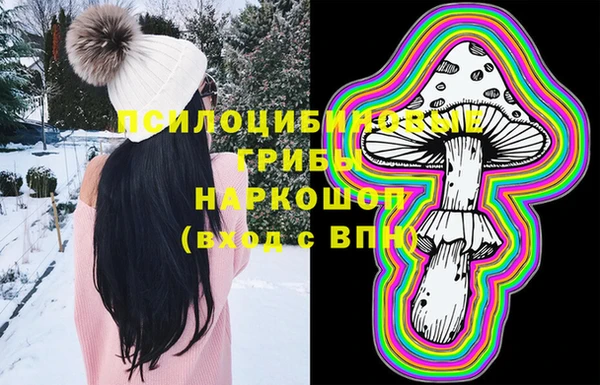 МДПВ Алексеевка