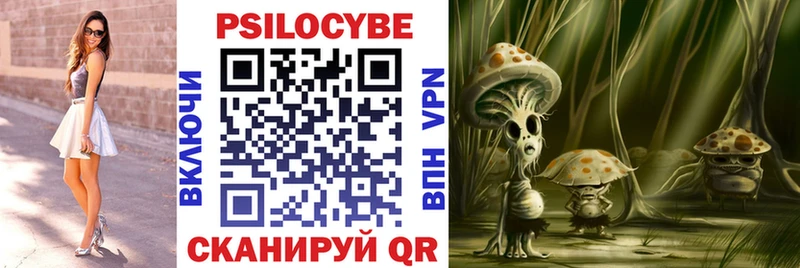 Псилоцибиновые грибы мицелий  кракен маркетплейс  Кукмор 